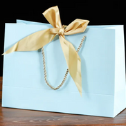 Bowknot Square Paper Bag