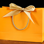 Bowknot Square Paper Bag